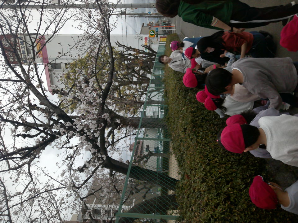 DSCF0102.jpg