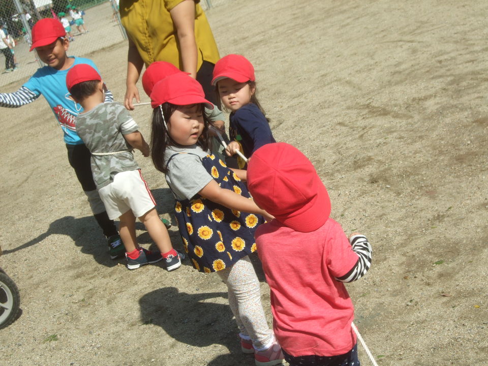 DSCF0663.jpg