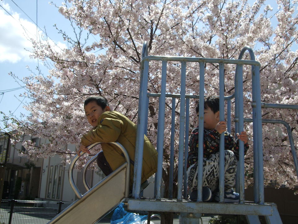 DSCF6807.jpg