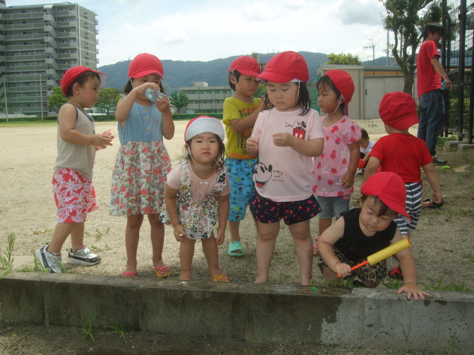 DSCF7335.jpg