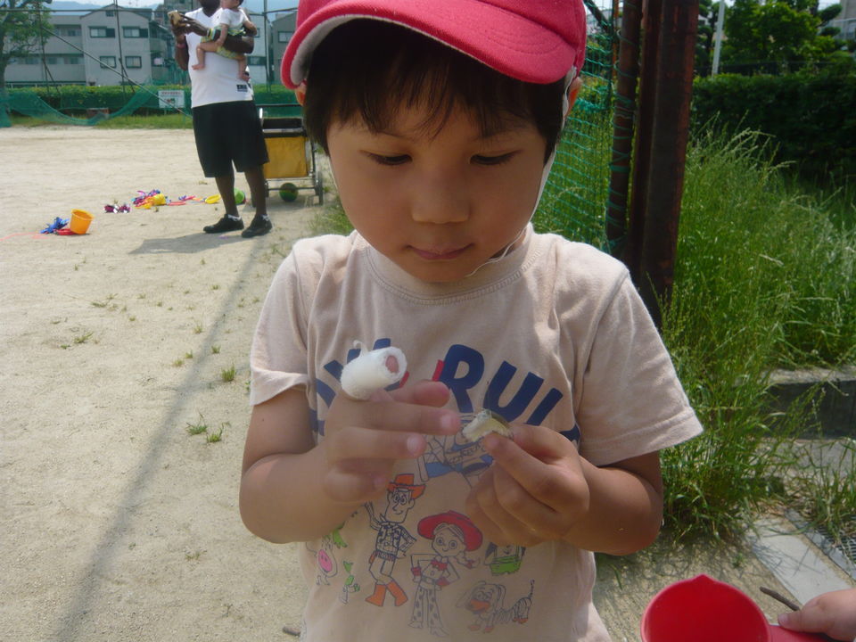 P1350148.jpg